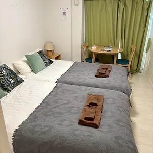 リブシティ錦糸町参番館上層階眺望良好北欧ルーム, Akihabara 6mins, 8 Mins, Direct To Narita Airport 成田空港直達 アパート